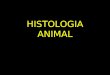 Histologiaanimal 131019202849-phpapp01