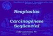 Neoplasias   carcinogenese sequencial