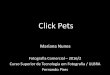 Click pets