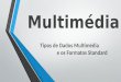 Tipos de Dados Multimédia e Formatos Standard