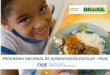 Brasil  - Programa Nacional de Alimentación Escolar de Brasil - Presentación Solange Castro