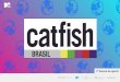 Mm catfish brasil br (1)