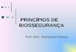 Princípios de biossegurança pdf