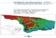 Caracterizacao geomorfologica-do-municipio-de-riachao-das-neves,-oeste-baiano,-escala-1100000pdf