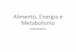 Aula 02   metabolismo - Fisio comp UFFS 2017