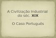 A Civilização Industrial do séc. XIX, O Caso Português, História