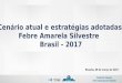 Cenário atual e estratégias adotadas  Febre Amarela Silvestre   Brasil - 2017