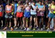 Title Sponsor e Marcas Esportivas das Maratonas - 2015
