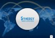 Conheça a Synergy Trade e Assessoria