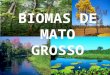 Biomas de Mato Grosso para alunos do ensino fundamental