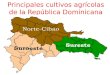 Principales cultivos agrícolas de la República Dominicana