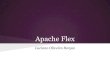 Apache flex