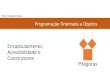 Pitagoras - Introdução a Programação Orientada a Objetos - Encapsulamento, Acessibilidade e Construtores
