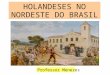 Holandeses no Brasil  -  Professor Menezes