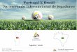 Portugal x Brasil- No mercado de  transferências de jogadores