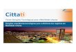 Soluções e tendências tecnológicas para a eficiência dos negócios em Mobilidade Urbana - Cittati