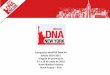 Campanha de Incentivos MAPFRE DNA NY 2016