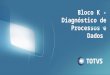 TOTVS CONSULTING | Bloco K - Diagnóstico de processos e dados