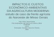 Impactos e Custos Econômico-Ambientais da Agricultura Moderna: estudo de caso da frente agrícola do Noroeste de Minas Gerais
