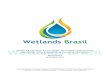 Boletim wetlands brasil   n° 5 - setembro 2016