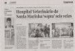 Hospital Veterinário de Santa Marinha "sopra" seis velas