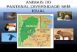 Animais do Pantanal