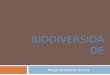 1   biodiversidade (2017)