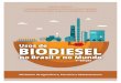 Usos do Biodiesel no Brasil e no Mundo