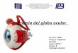 Postlaboratorio optica de la vision y anatomìa del globo ocular