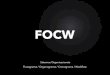 Sistemas Organizacionais (FOCW)