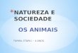 Natureza e sociedade OS ANIMAIS