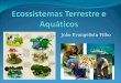 Biologia 3   ecossistemas terrestres e aquáticos