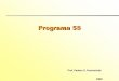Programa 5s-paulino-francischini