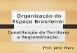 Organização e formação do espaço brasileiro