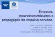 Sinapses, neurotransmissores e propagação do impulso nervoso- Ana Carolina Pedrosa