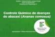 Controle Químico de doenças do abacaxi - Juliana Oliveira da Silva
