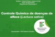 Controle Químico de doenças da alface - Victor Mazon Carvalho