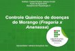Controle Químico de doenças do Morango - Adriana Gonçalves Vaz