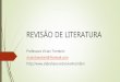 Revisão de literatura - UEM - 2017