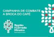 Campanha de combate a Broca-do-café - Vazio Sanitário da broca-do-café