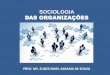 Sociologia das organizações   finalizado