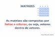 Aula sobre matrizes - Linguagem C