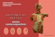 Anatomia na prtica  - Sistema musculoesquel©tico