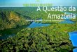 A questão da amazônia