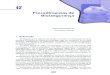 Procedimentos de Biossegurança - IPEN · PDF fileanimais de laboratório, normas de biossegurança, e um protocolo de experimen- ... Radioproteção nos Procedimentos de Biossegurança