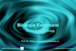 Biologia Estrutural - Laboratory of BioMolecular  · PDF fileFonte:   wfdaj.sites.uol.com.br. Ondas Caracterizamos as ondas mecânicas periódicas, ou ondas periódicas,