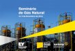 Seminário de Gás Natural - EY · PDF file3 Histórico da Precificação do Gás Natural Formação do preço Nacional/Boliviano Competitividade do Gás Natural no Brasil GNL e o