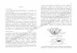 4. FLOR - Anatomia · PDF filesimetria da flor de actinomorfa para zigomorfa; ... que pode determinar uma alteração da morfologia externa da flor. Por exemplo, em flores de grupos