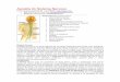Apostila do Sistema Nervoso - · PDF fileProteção do Sistema Nervoso Central Os órgãos do SNC são protegidos por estruturas esqueléticas (caixa craniana, protegendo o encéfalo;