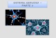 SISTEMA NERVOSO PARTE 1 - uel.br · PDF file2 TECIDO NERVOSO 1. O sistema nervoso é dividido em: SISTEMA NERVOSO CENTRAL e SISTEMA NERVOSO PERIFÉRICO 2. A